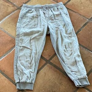 Splendid Lakeside Joggers